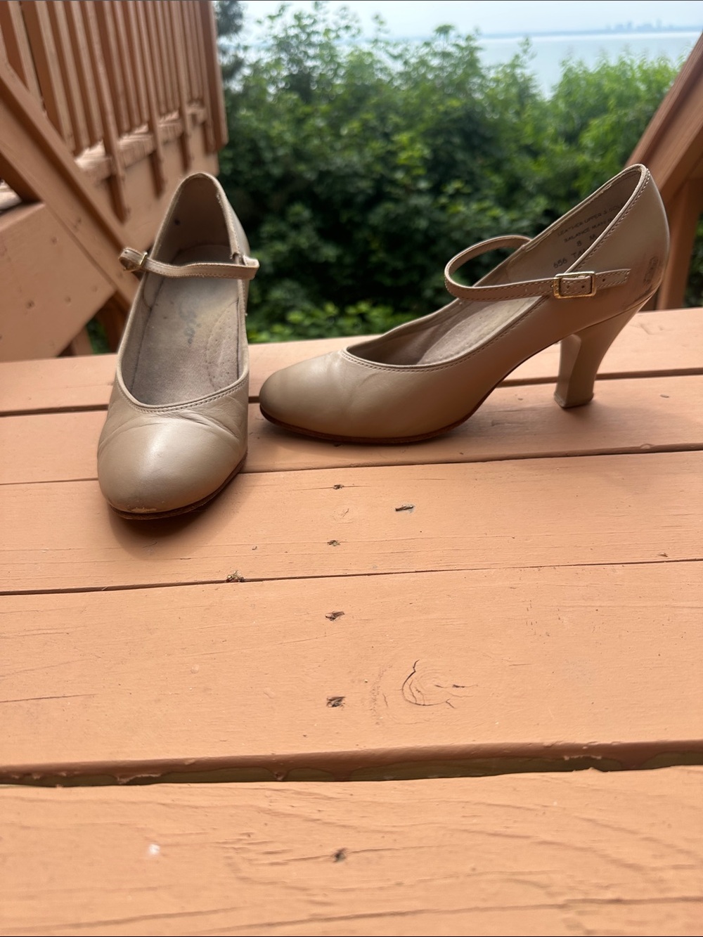 Capezio tan character shoes